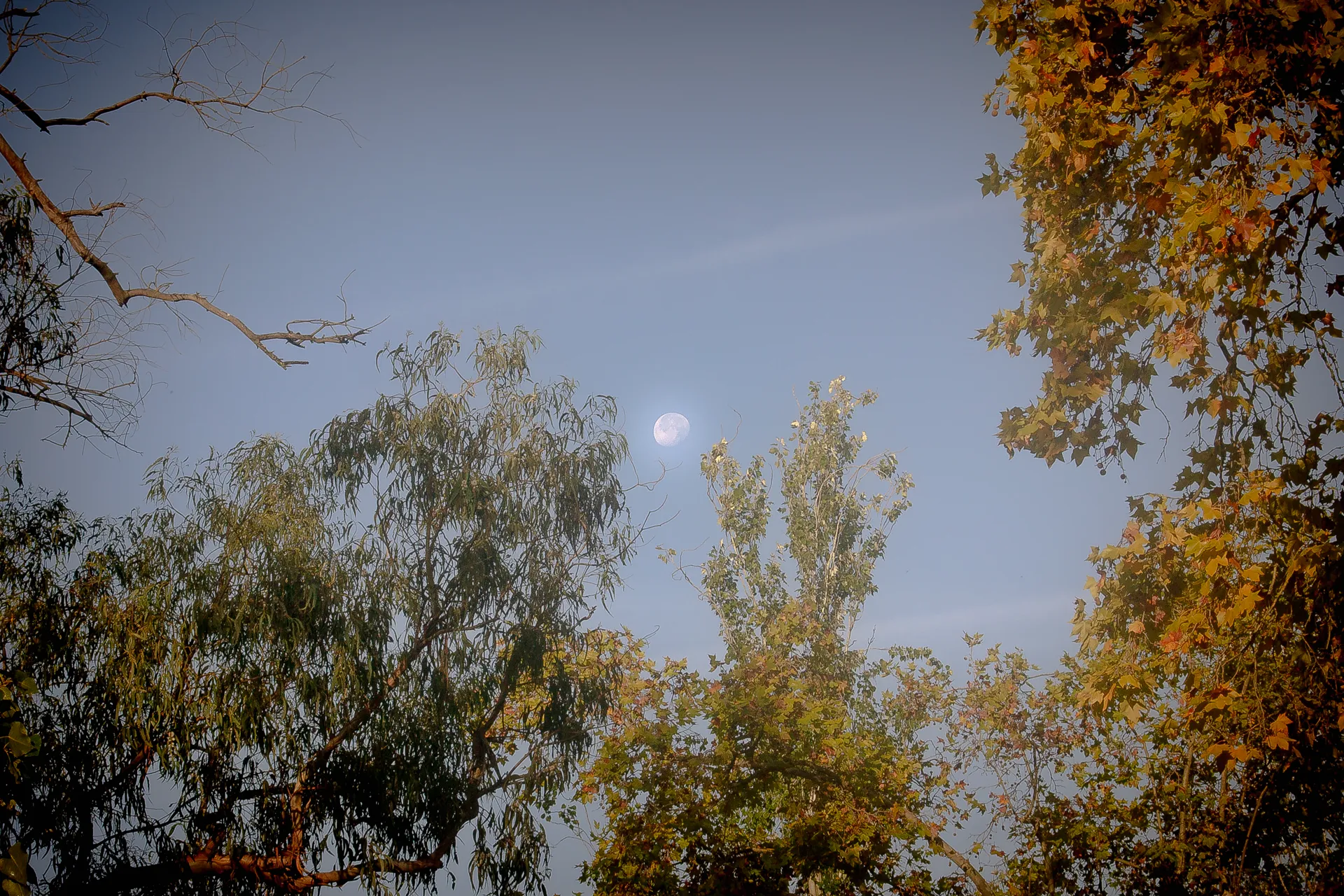 moon