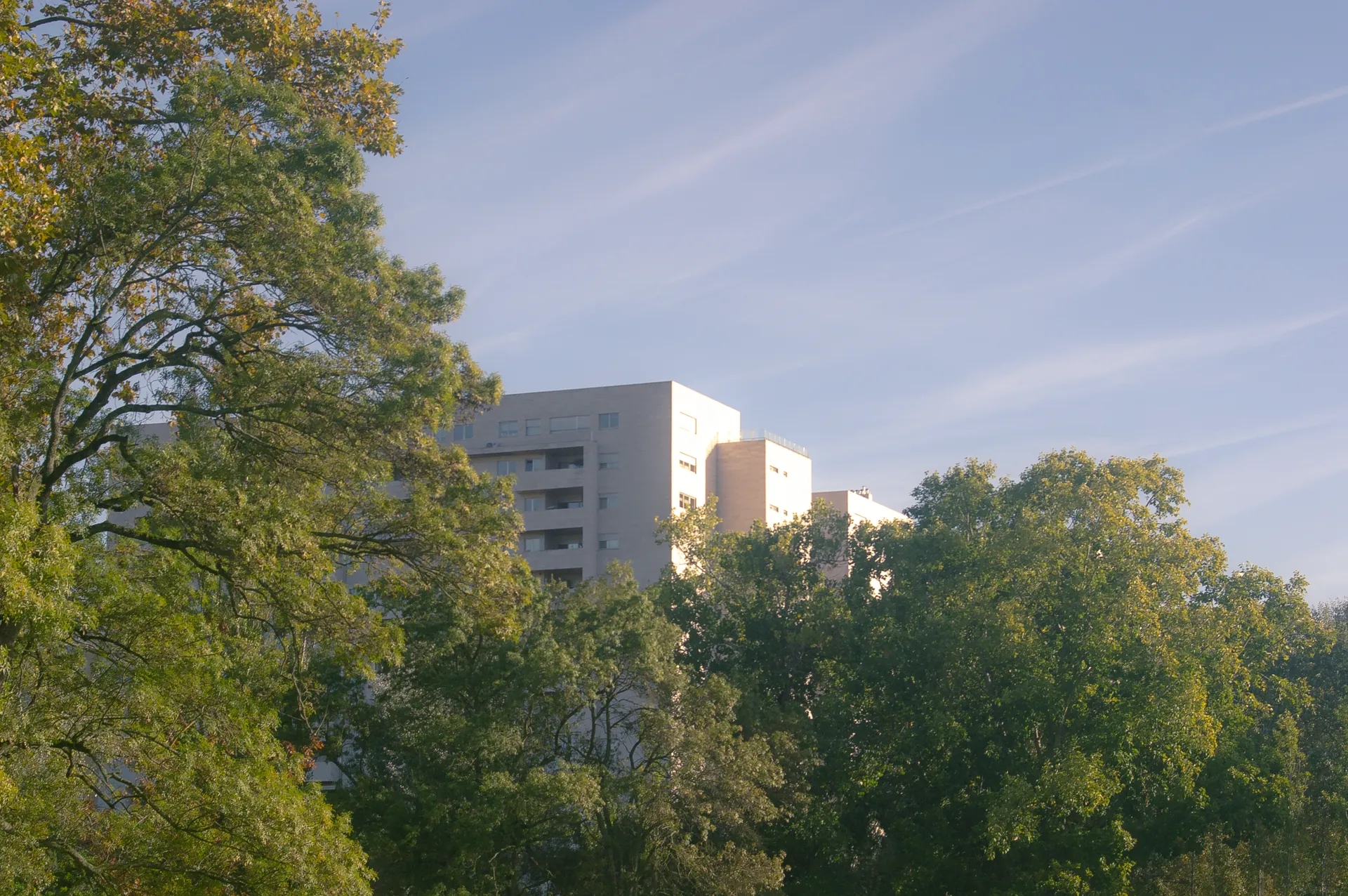 DSC_0838
