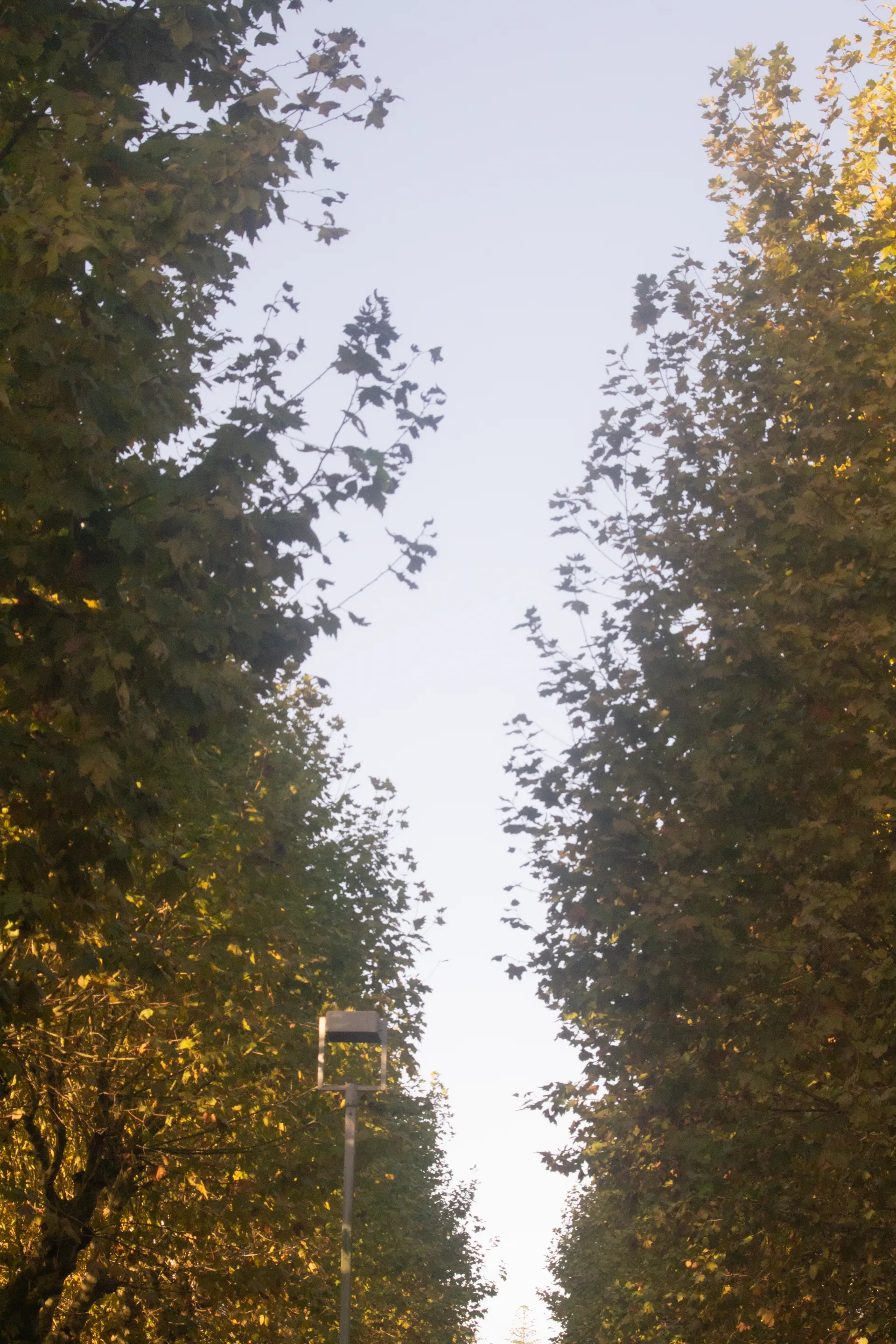 road?