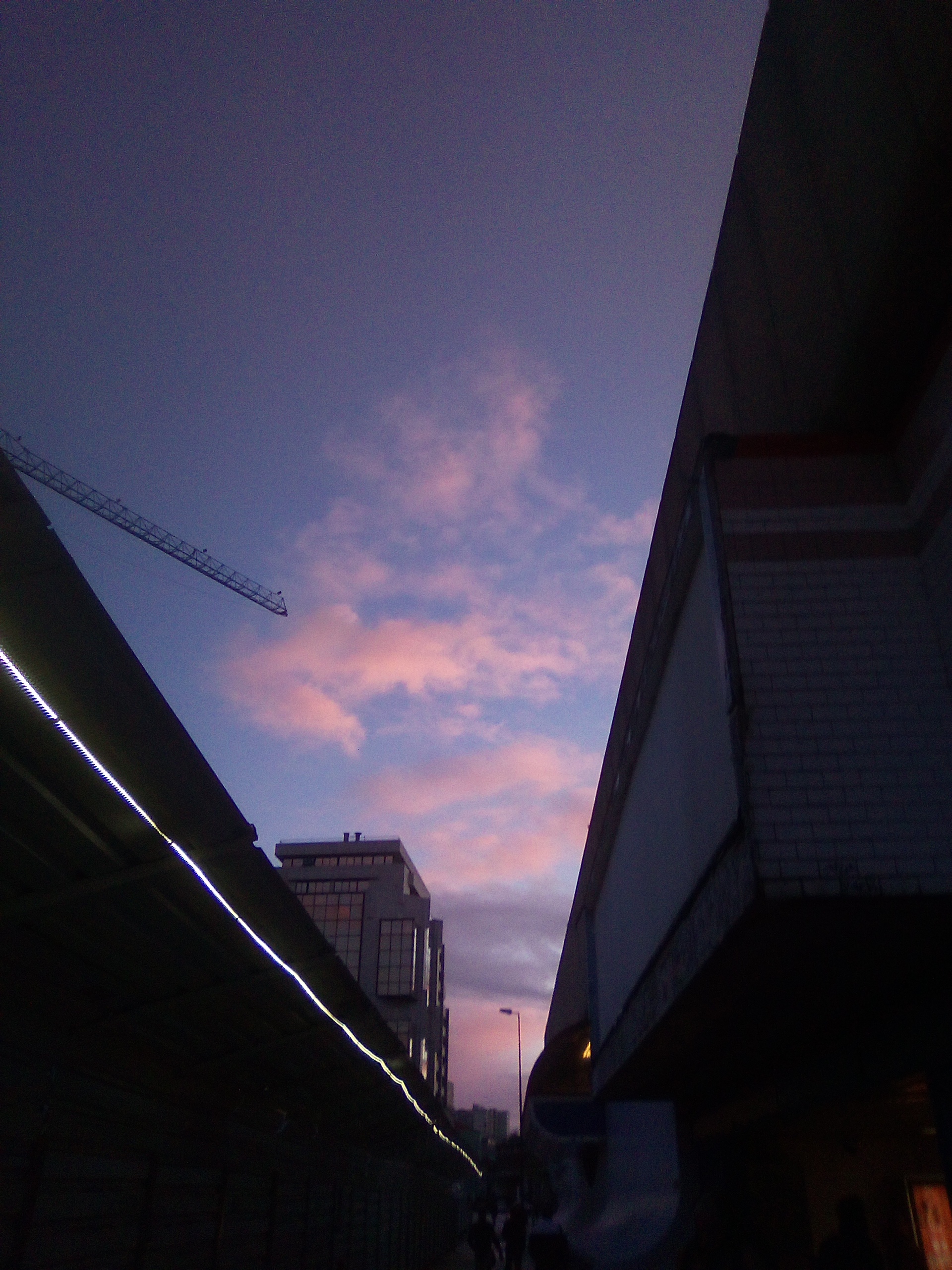 IMG_20260117_074744_233