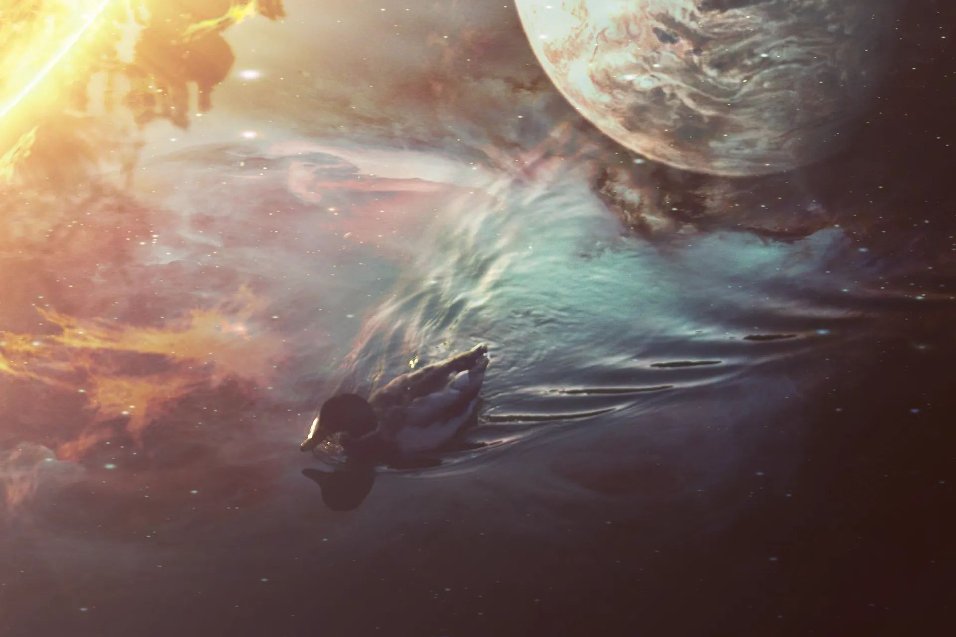 spaceDucky